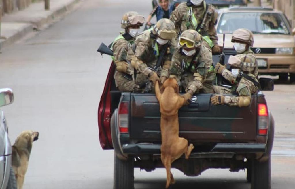 VIRAL: Perritos ayudan a militares en patrullajes durante cuarentena