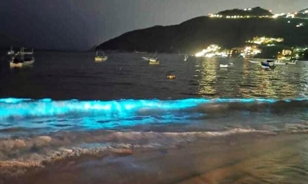 Captan espectacular fenómeno de bioluminiscencia en playas de Acapulco