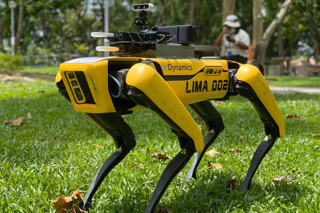 'Perro robot' vigila la sana distancia en parques de Singapur