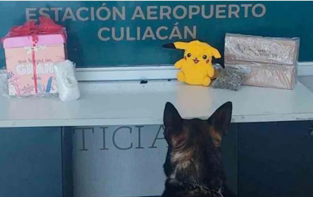 Decomisan 'Pikachu' lleno de droga en aeropuerto de Sinaloa