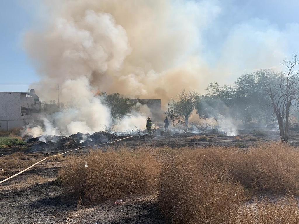 Registran incendio en terrenos de la UAdeC en Torreón