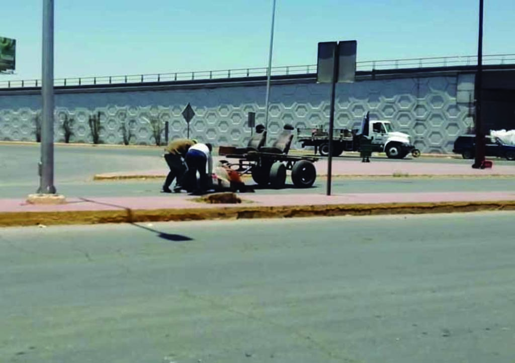 Reportan desvanecimiento de caballo de carga en Periférico de Torreón