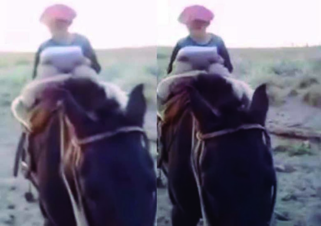 Niño viaja 30 kilómetros en caballo para tener señal de Internet y estudiar