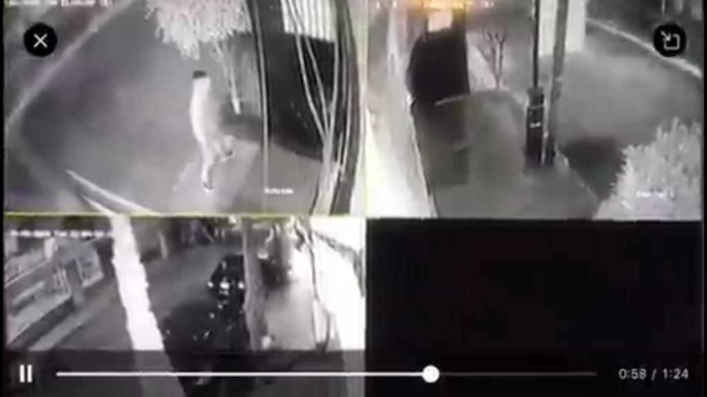 VIDEO: En Edomex, roban auto a familia en 30 segundos