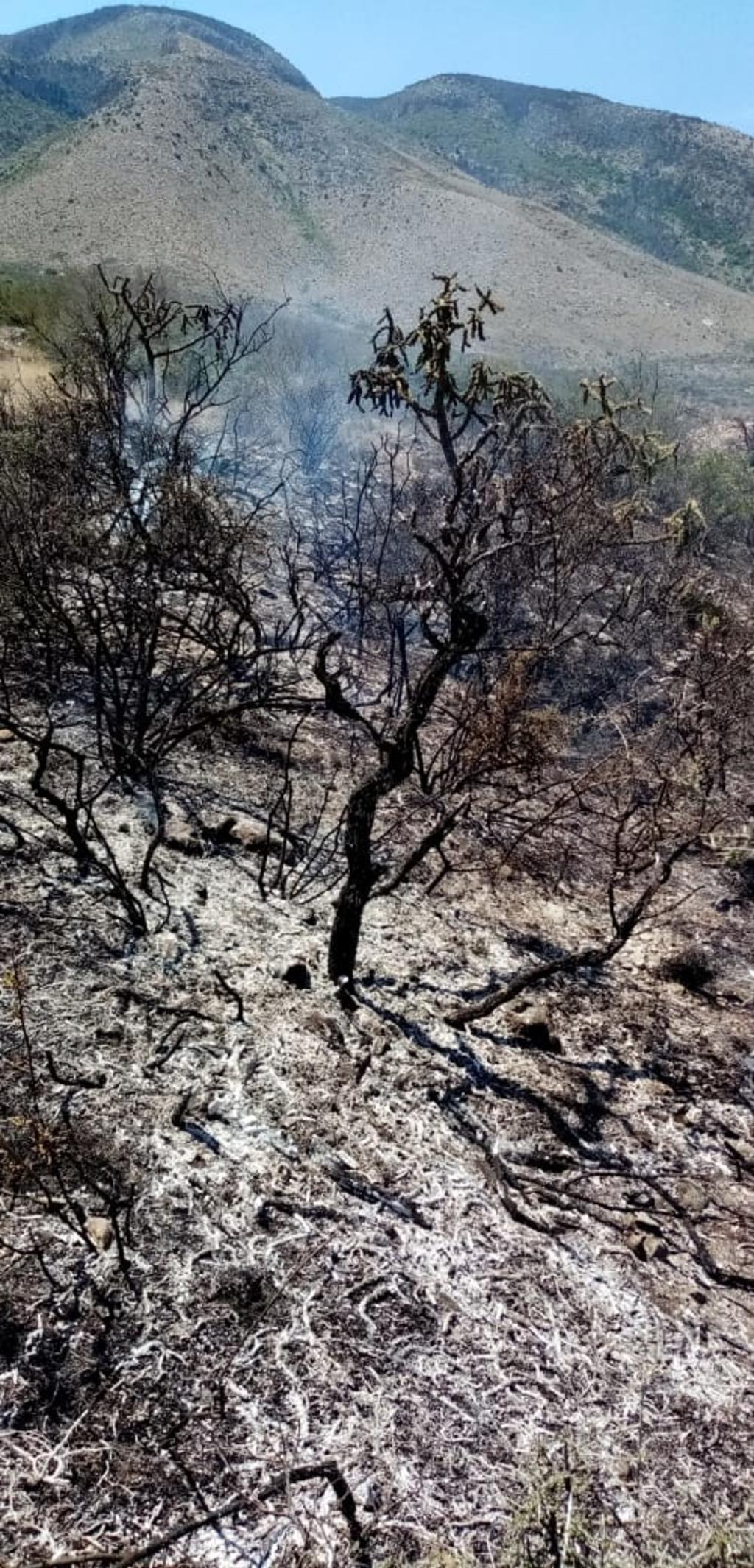 Se registra incendio en la Sierra Zapalinamé