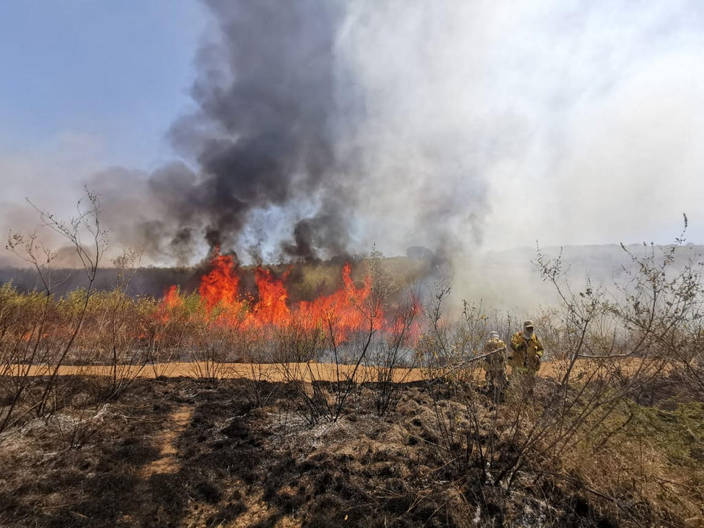 Reportan en México 23 incendio forestales activos