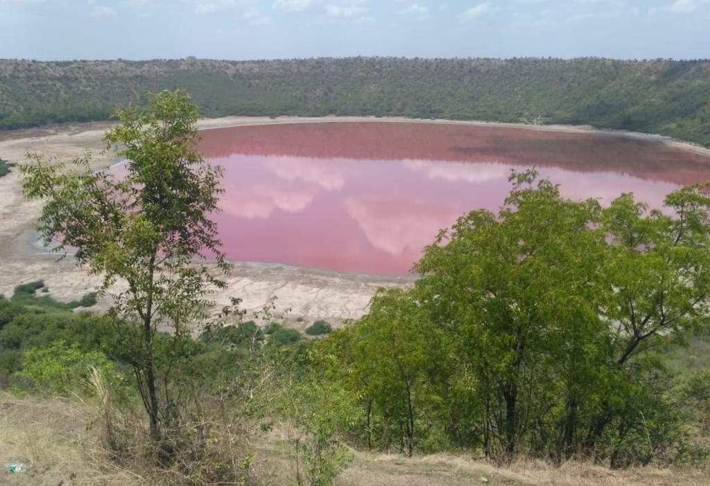 VIDEO: Lago formado por un meteorito en la India, se vuelve rosado repentinamente