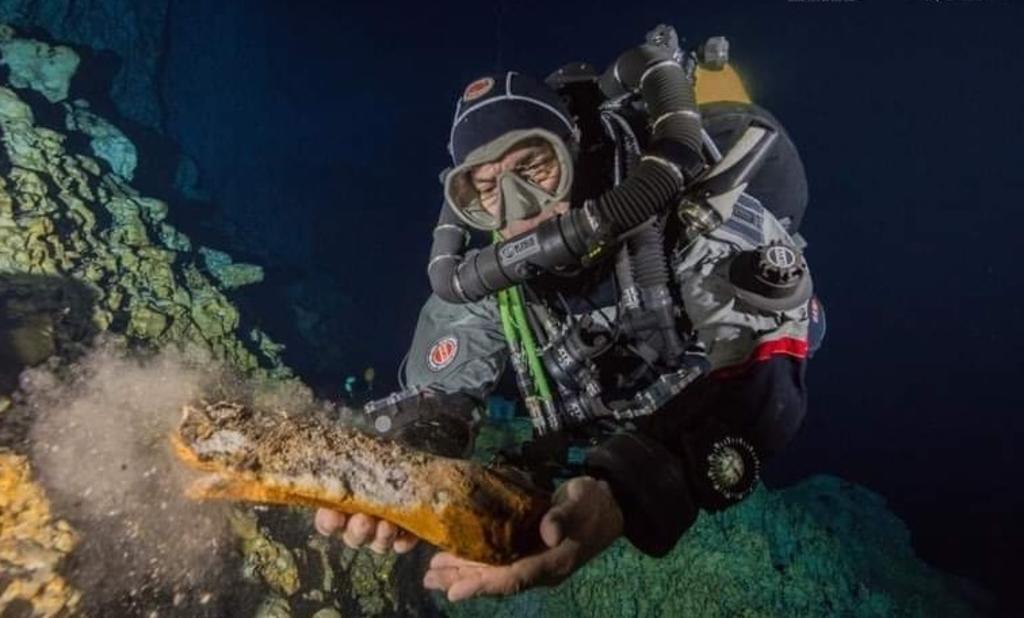 Descubren restos de nuevas especies animales en Quintana Roo
