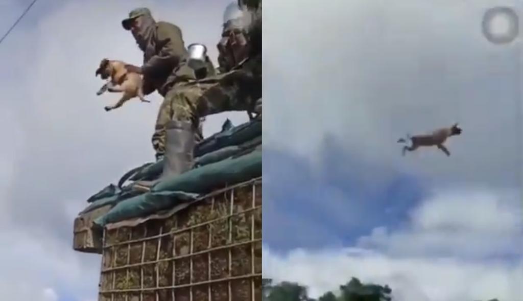 Militar que aparece en video lanzando a perrito desde un camión, será investigado