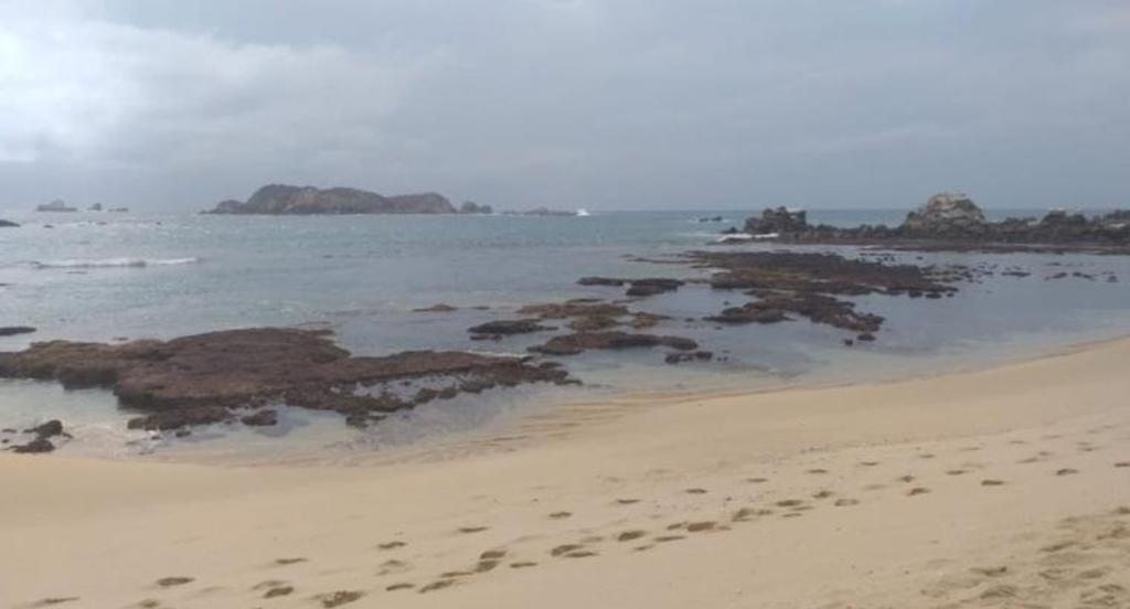 VIDEO: Así se alejó el mar de las costas de Oaxaca tras el sismo