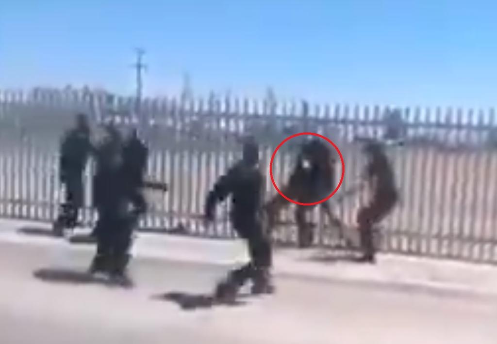 VIDEO: Perro policía frustra intento de suicidio en Mexicali