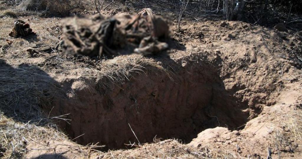 Doce cuerpos fueron localizados en una fosa en Chihuahua