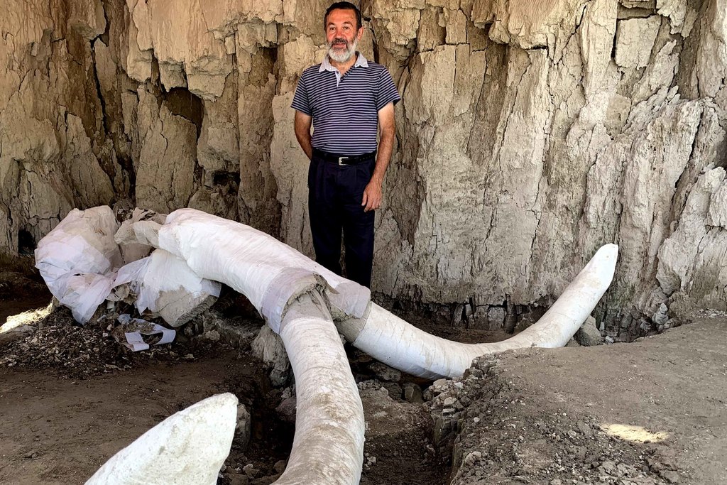 INAH estudiará restos de mamut hallados en Santa Lucía