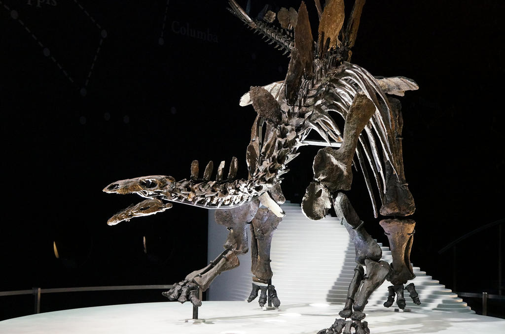 Afirma estudio que los dinosaurios podrían tener un origen diminuto