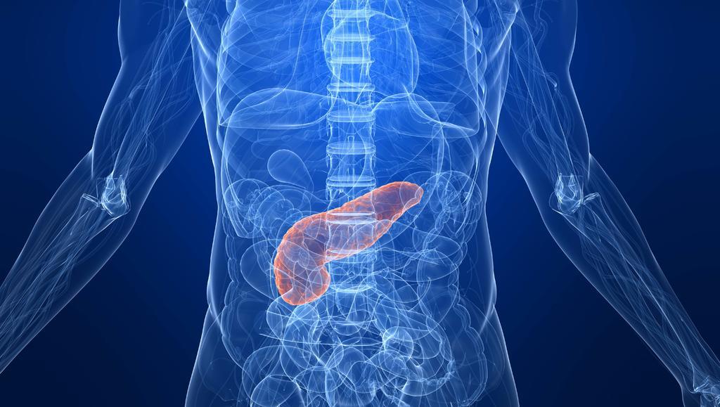 Afirman científicos que es posible parar el crecimiento del cáncer de páncreas
