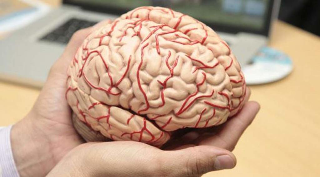 Agilizará plataforma la investigación de metástasis cerebral