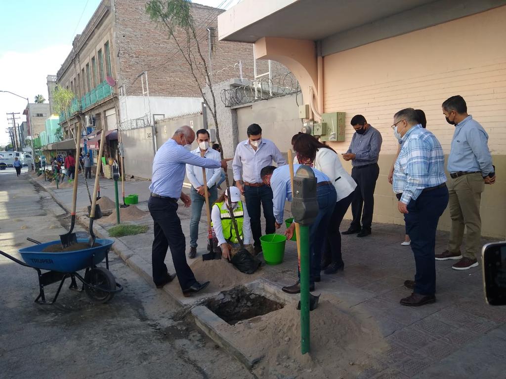 Inicia reforestación del Centro Histórico de Torreón
