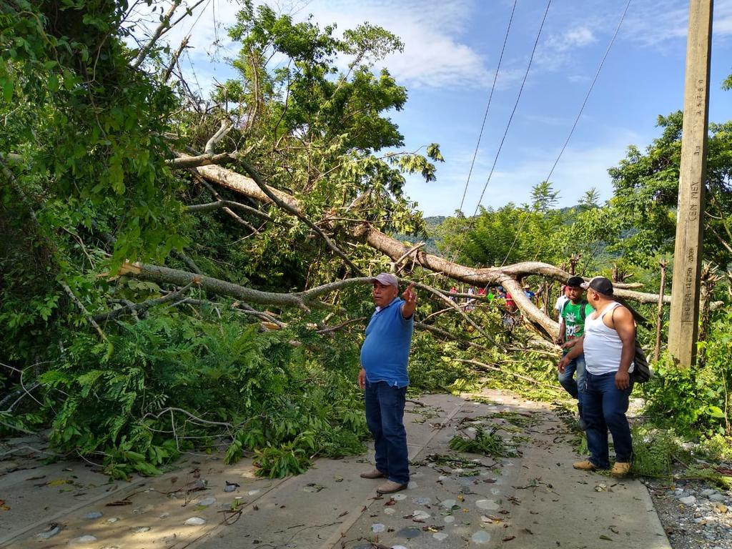 Contabilizan daños en al menos 12 municipios de Oaxaca por lluvias