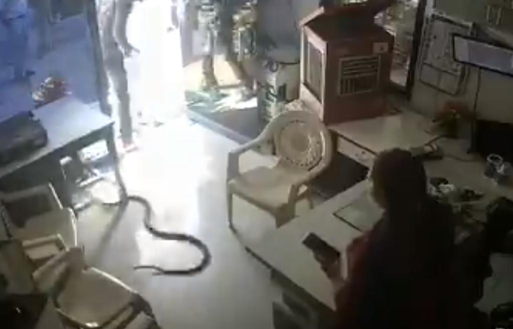 Arroja serpiente a despachadora de gasolinera porque le negó el servicio'