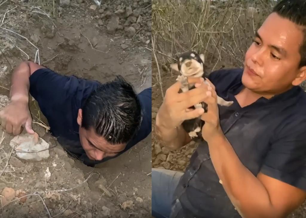 'Héroe sin capa'; joven rescata a 8 cachorros de morir enterrados