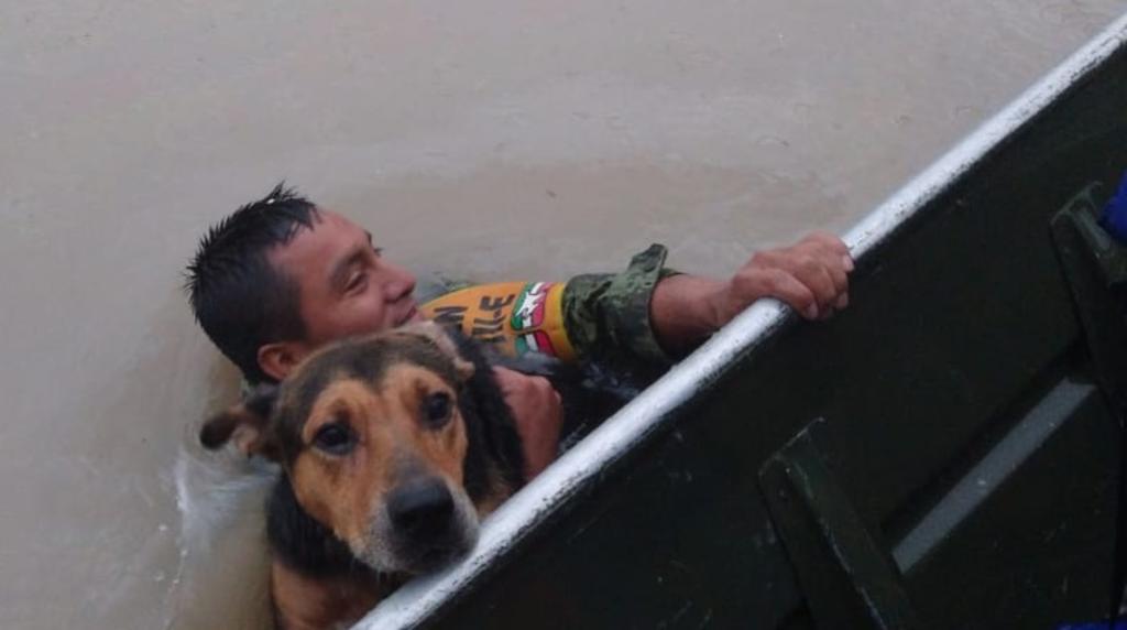 Militar rescata a perrito durante inundaciones en Tamaulipas y se vuelve viral