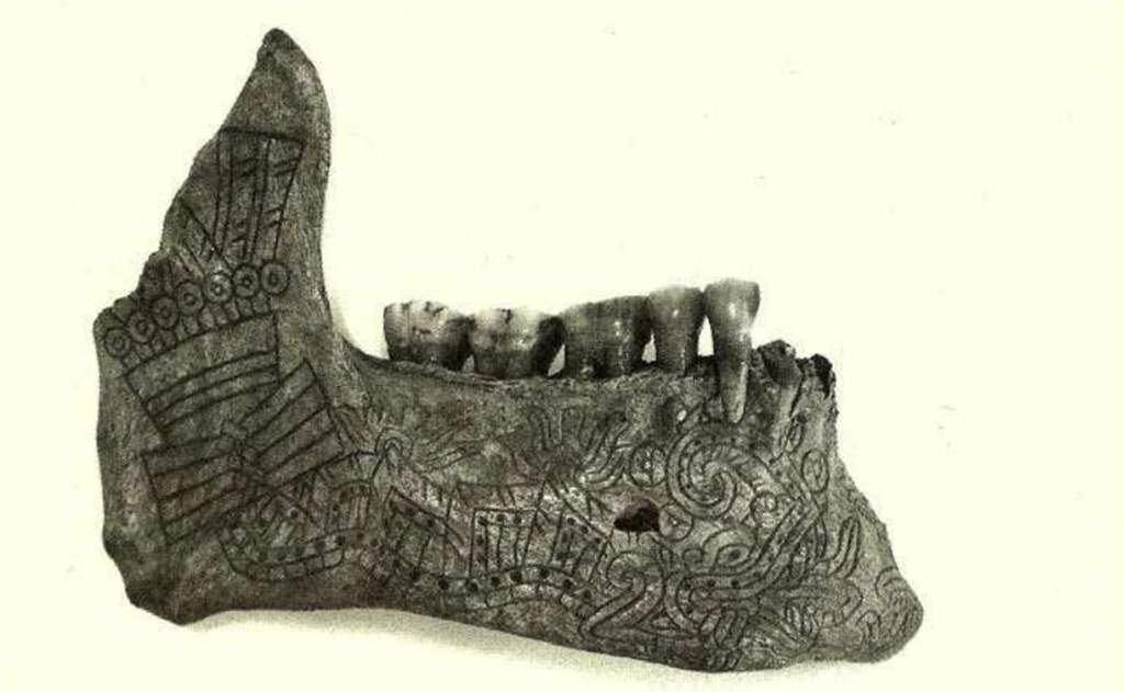 Estudian el uso ritual de mandíbulas y maxilares en Mesoamérica