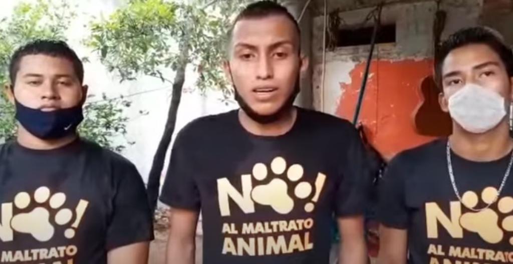 Jóvenes se disculpan tras torturar a un gatito en Chiapas