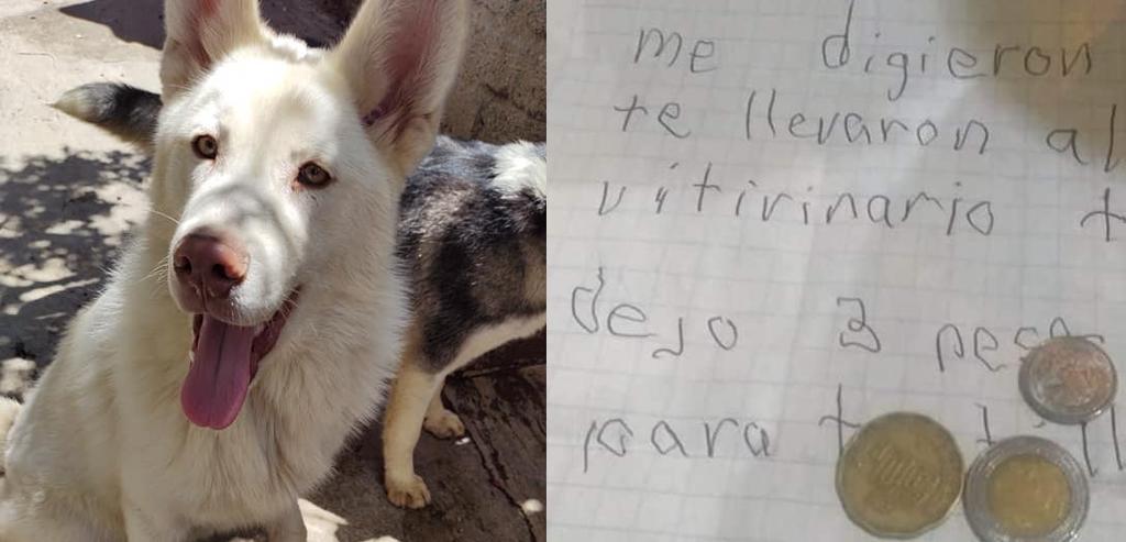 Niño escribe carta a su perro que dejó en albergue porque 'su papá le pegaba'