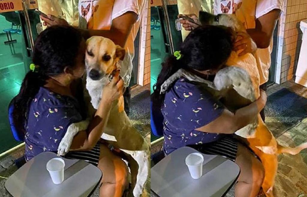 Tras perder a su madre por COVID-19, mujer adopta a perrito que le dio consuelo