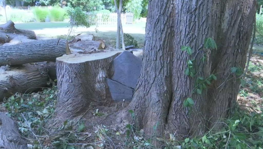 Pareja encuentra una lápida de casi 300 años en su jardín