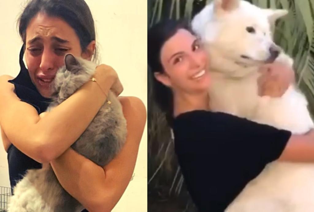 'Conmovedor'; afectados se reúnen con sus mascotas tras explosión de Beirut