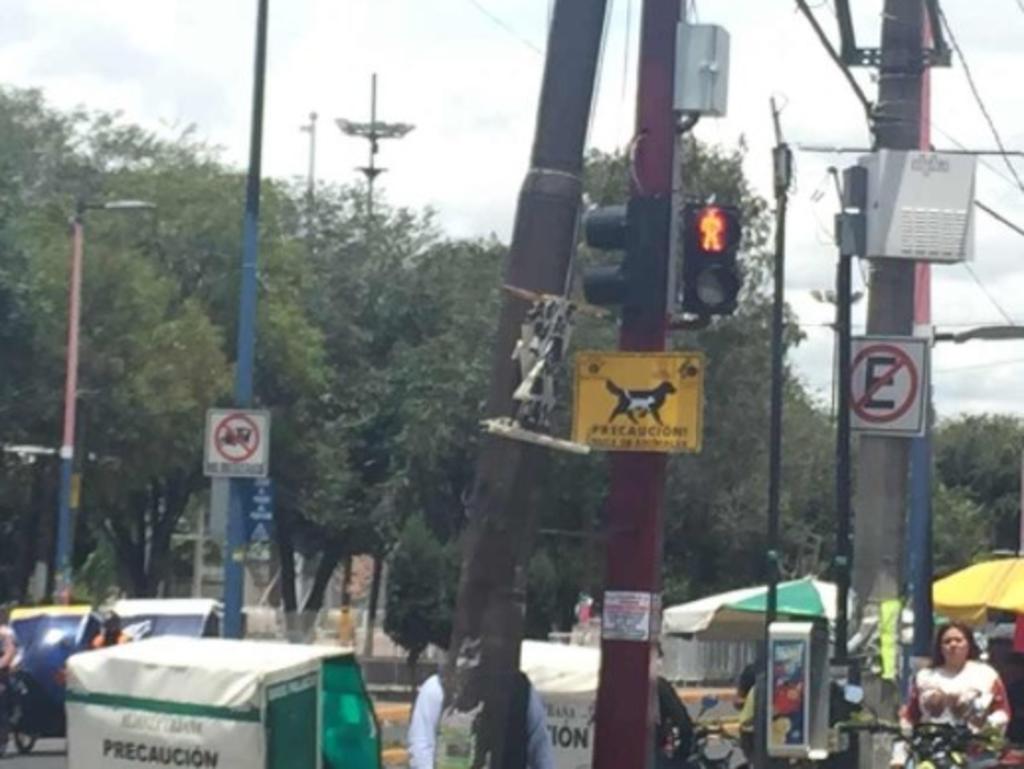 Colocan letrero en semáforos para tratar a los animales como peatones