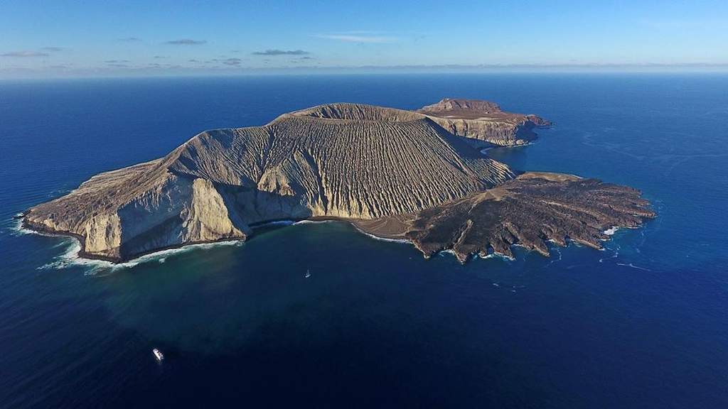 Conoce las Islas Revillagigedo, paraíso natural de Colima