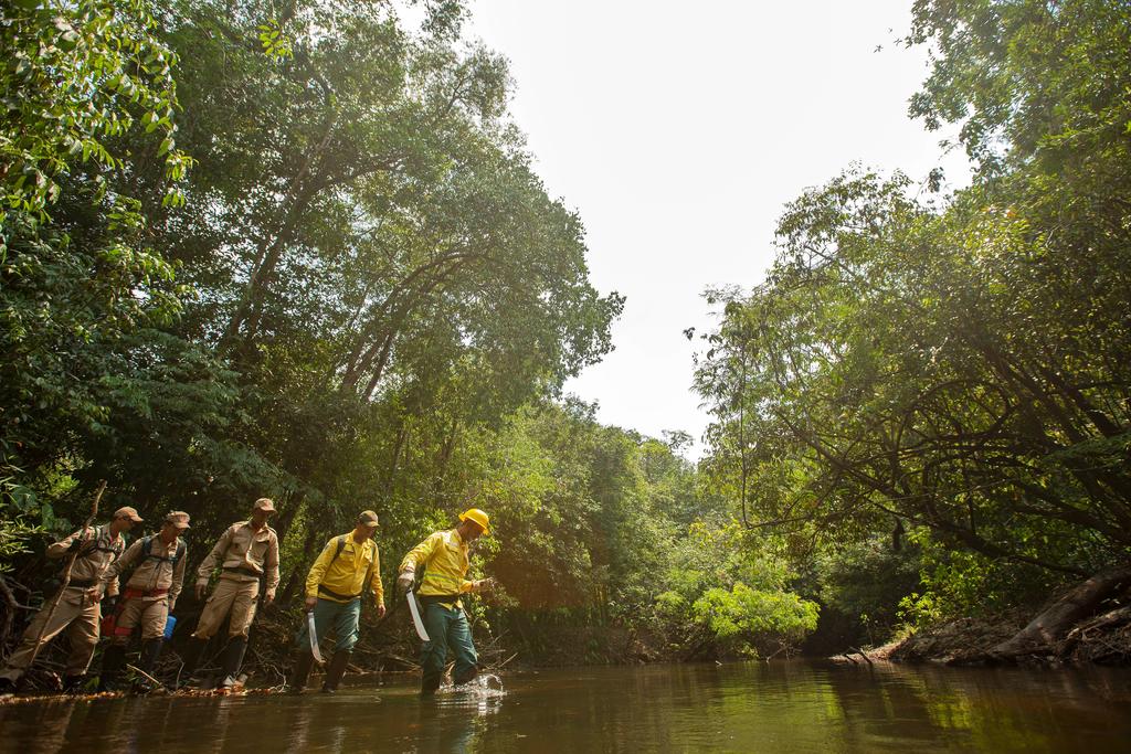 WWF advierte sobre un alarmante declive en la biodiversidad de Latinoamérica