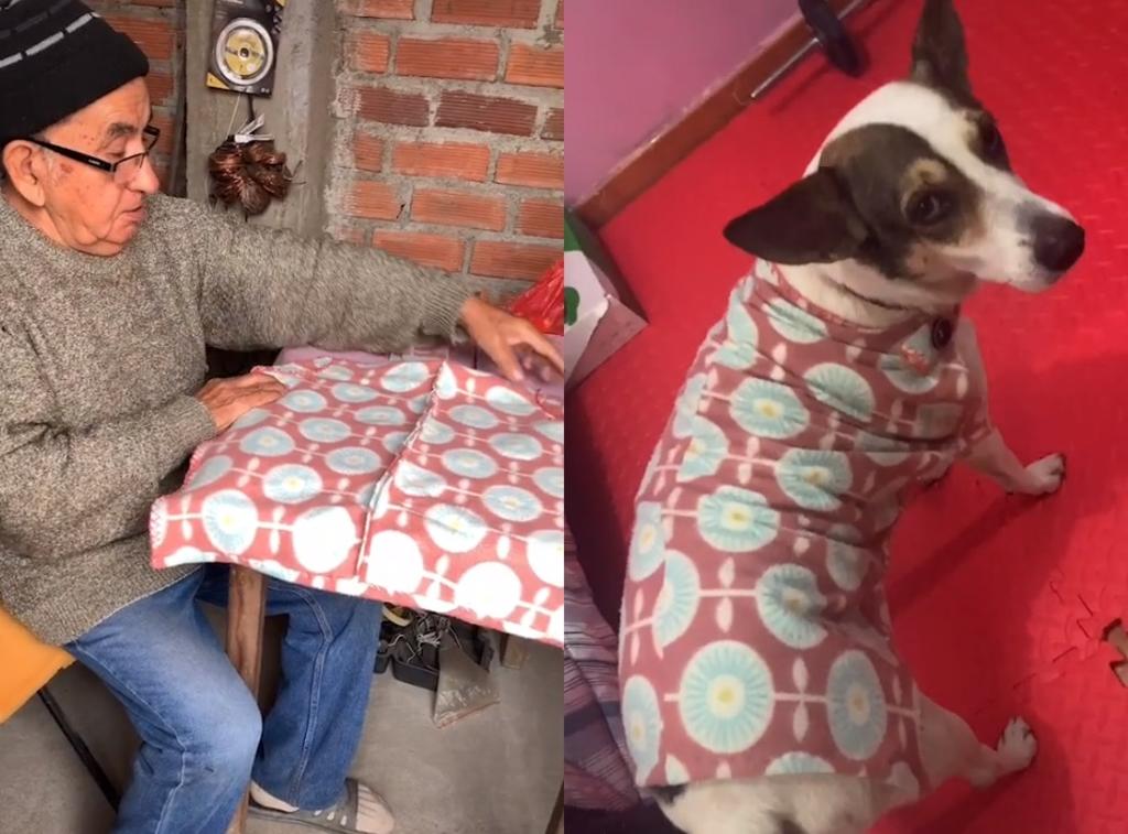 Abuelito 'conquista' a la red al hacer un suéter para su perro