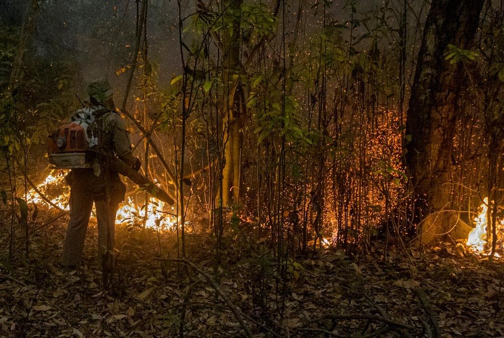 Incendios alcanzan nivel récord en el Pantanal en Brasil; presionan a Bolsonaro