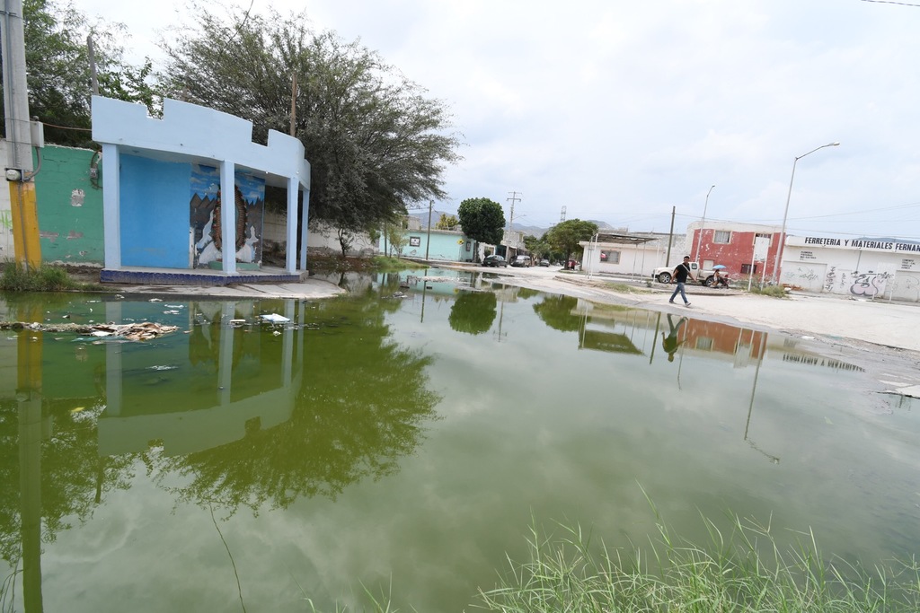 Alertan por casos de dengue en la Comarca Lagunera de Coahuila