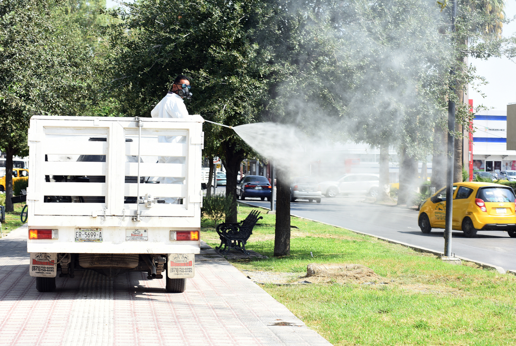 Ante dengue, llaman a limpiar domicilios en Torreón