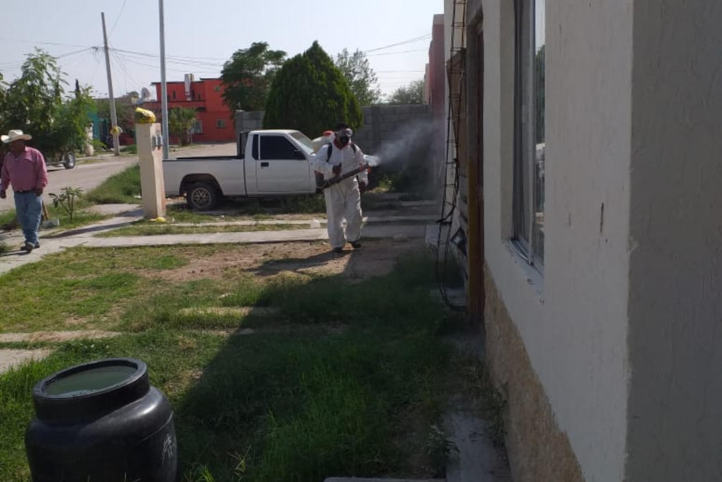 Van más de 100 casos de dengue en La Laguna de Coahuila