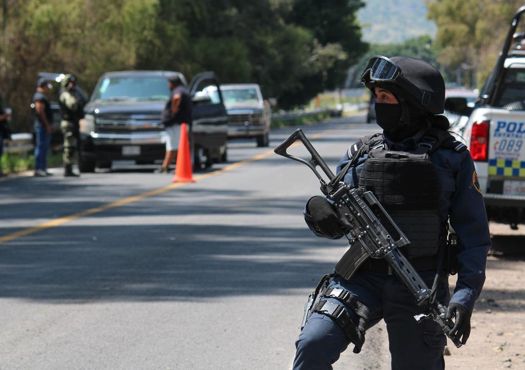 Hallan dos fosas clandestinas con restos de 15 personas en Guanajuato