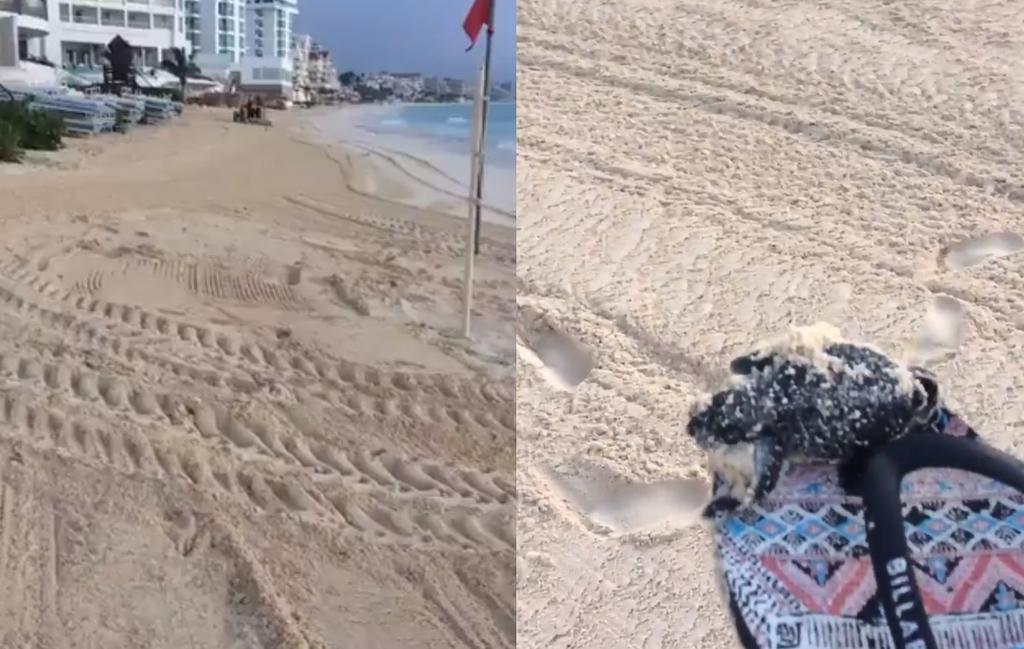 Denuncian a trabajadores que aplastan a tortugas en playas de Cancún