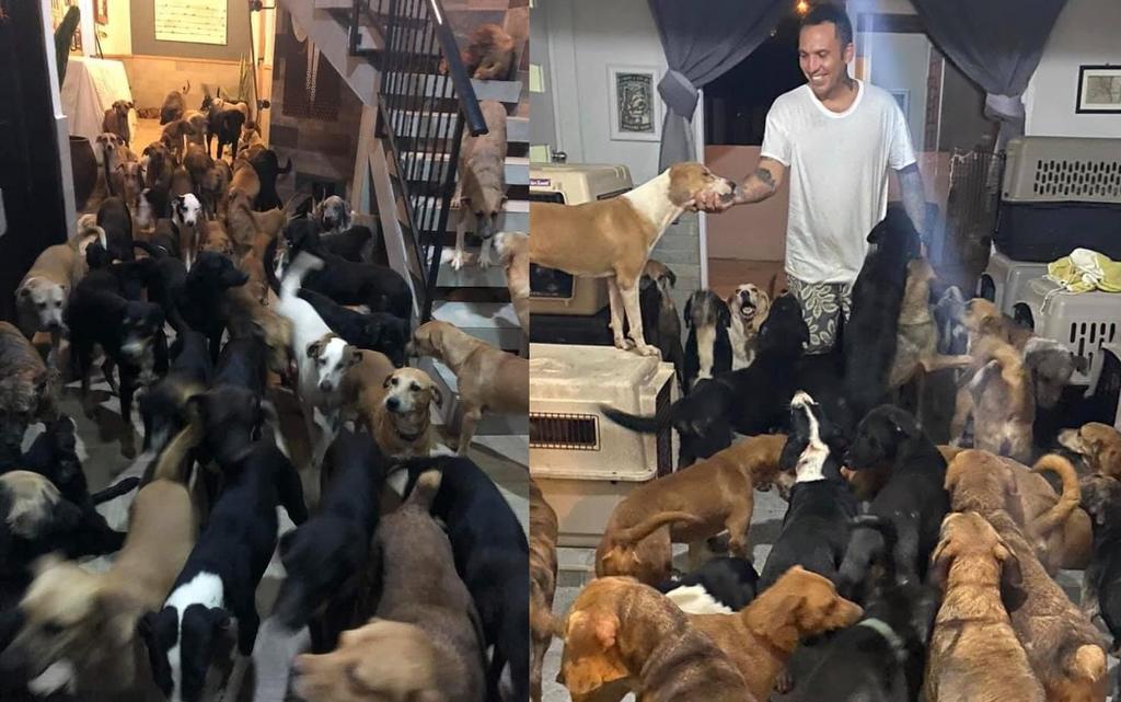 'Héroe sin capa'; hombre resguarda a 300 perros en su casa por 'Delta'