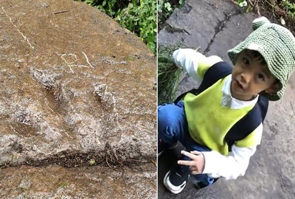 Niño de 5 años identifica unas huellas de dinosaurio durante un paseo familiar