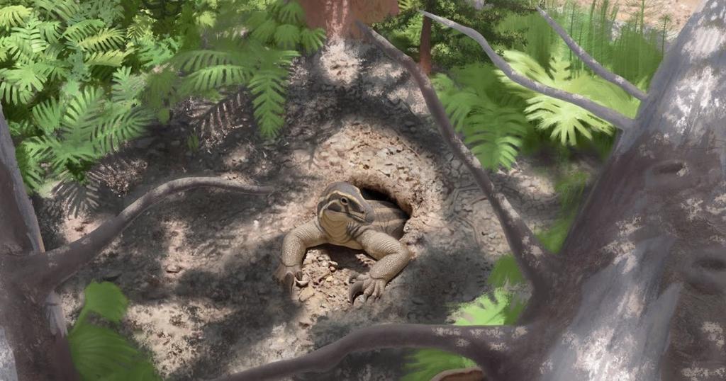 Hallan fósiles de reptil en el Bosque Petrificado de Arizona