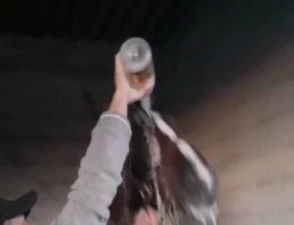 Forza a su caballo a beber champagne y lo acusan de maltrato animal