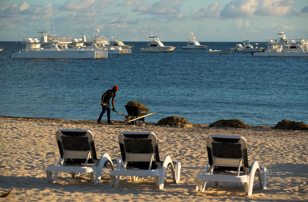 Recolectan casi 18 mil toneladas de sargazo en playas de Quintana Roo