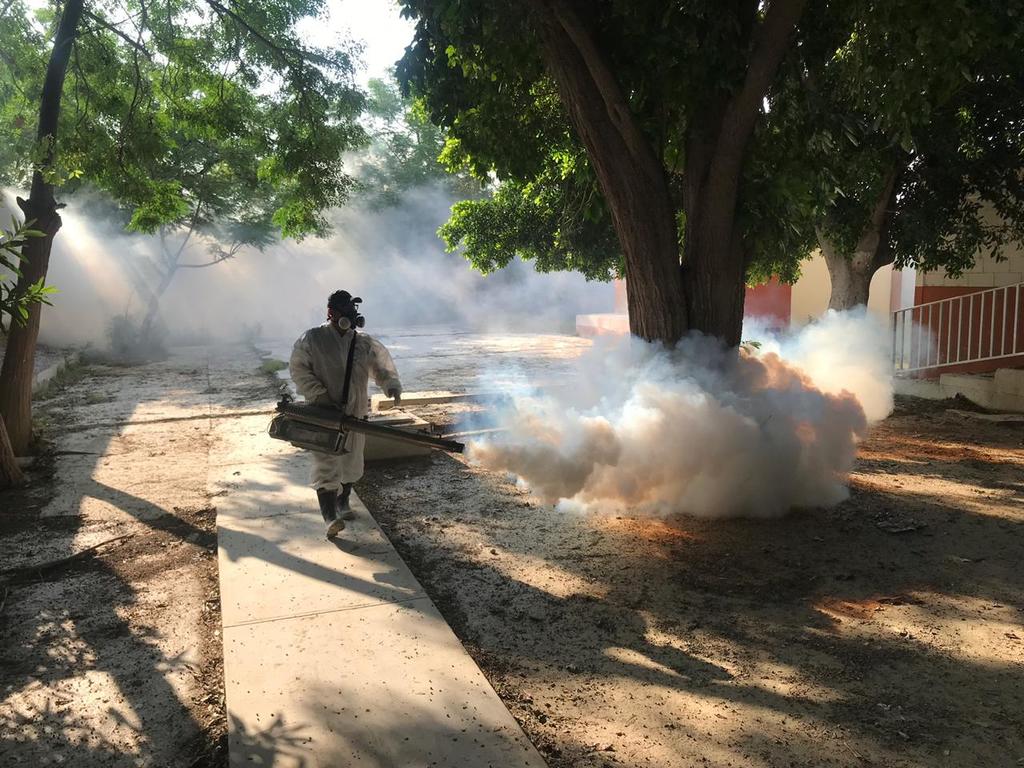 Suman 240 casos de dengue en Coahuila
