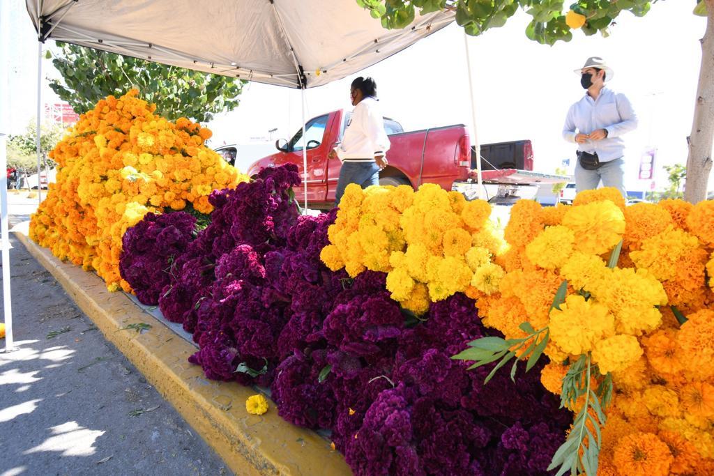 Productores de cempasúchil ofertan sus flores en Torreón