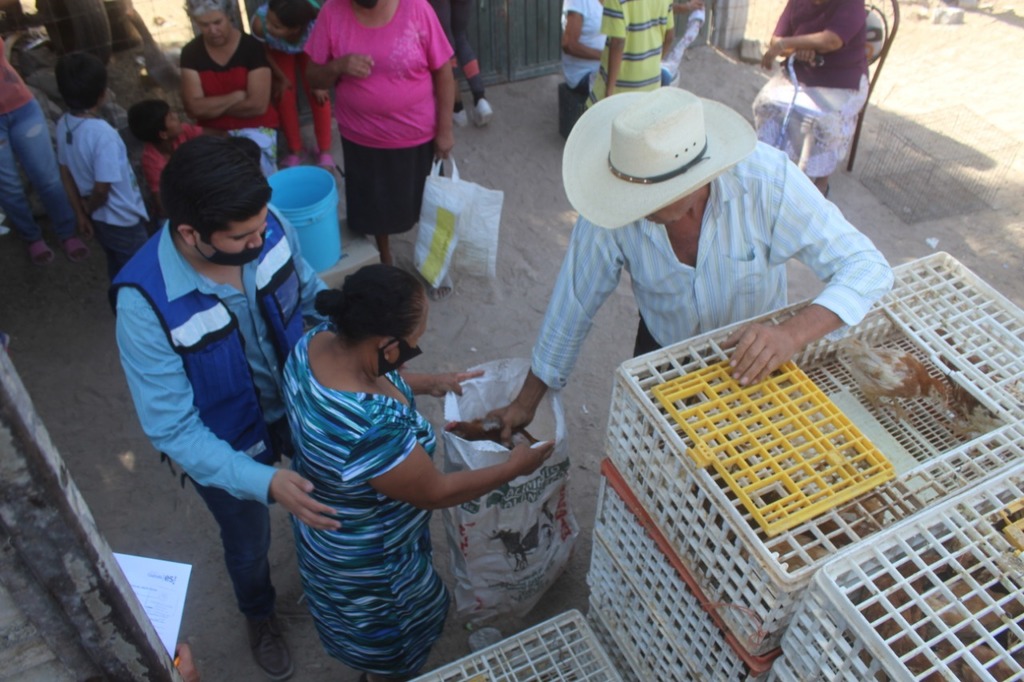 Entregan apoyos avícolas a familias de ejidos de San Pedro