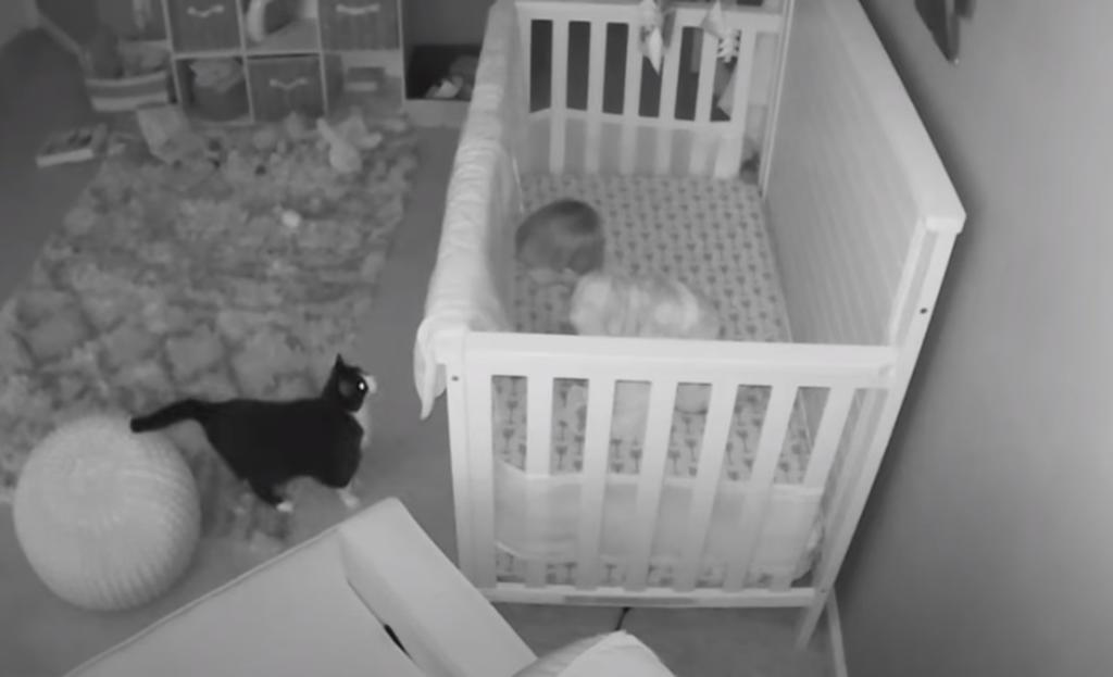 VIRAL: Bebé tiene 'conversa' con gato negro desde su cuna